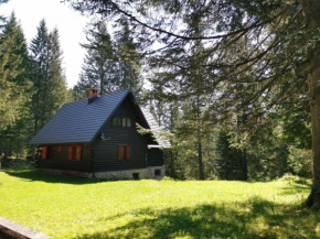 Chalet Stara Jelka Pokljuka Zgornje Jezersko
